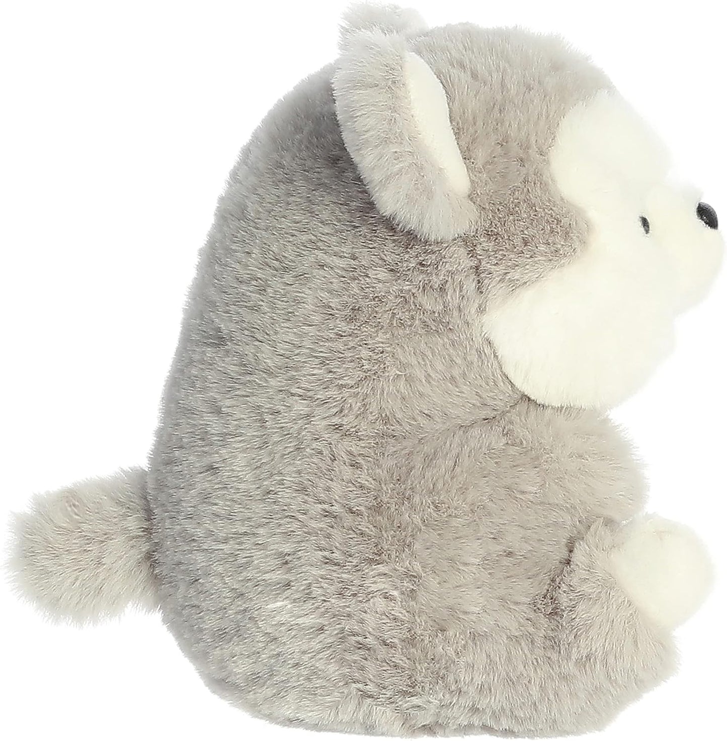 BABY HUSKY GORDITO