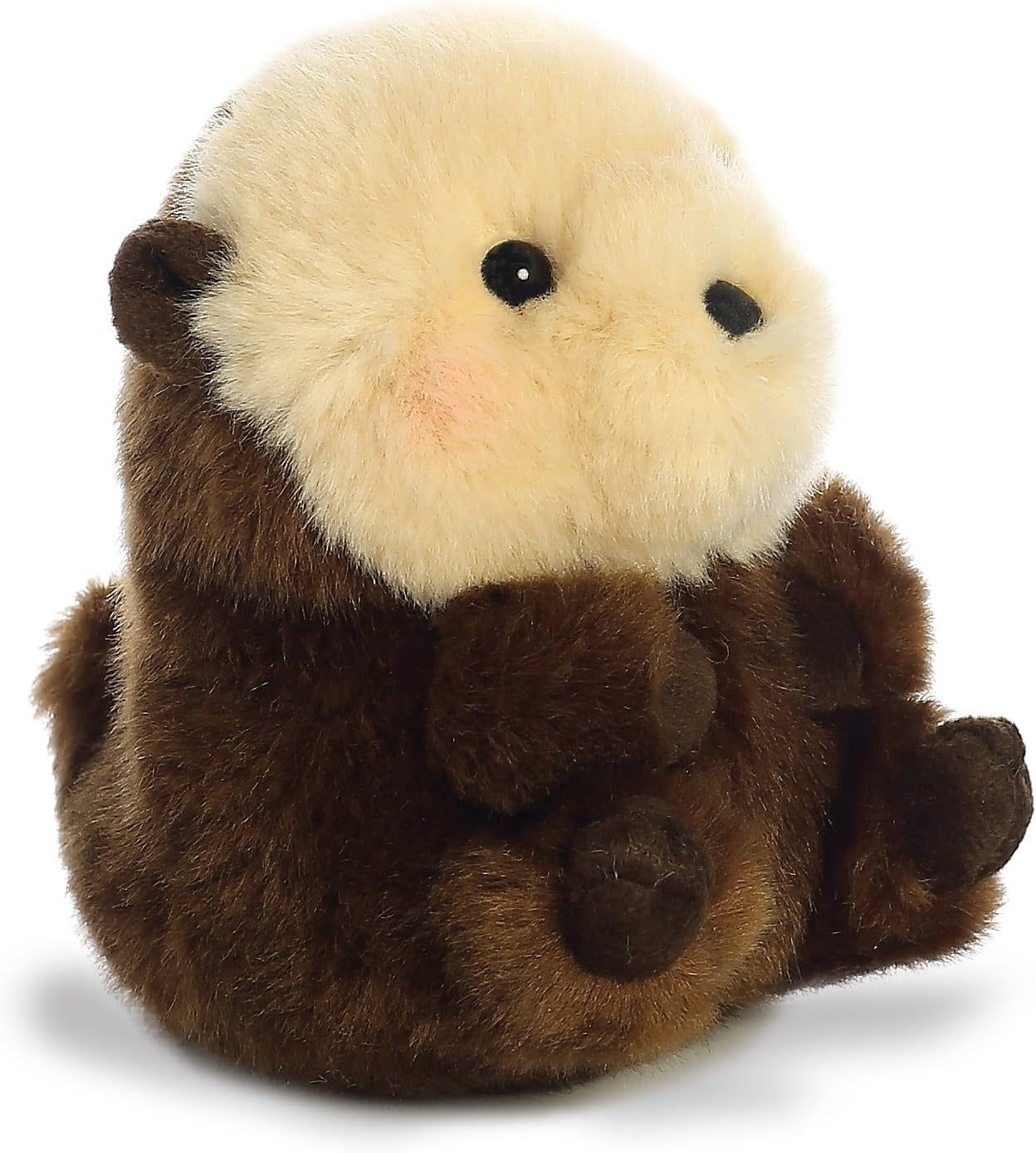 NUTRIA GORDITA