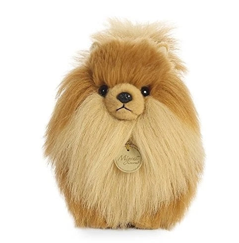 PERRO POMERANIA