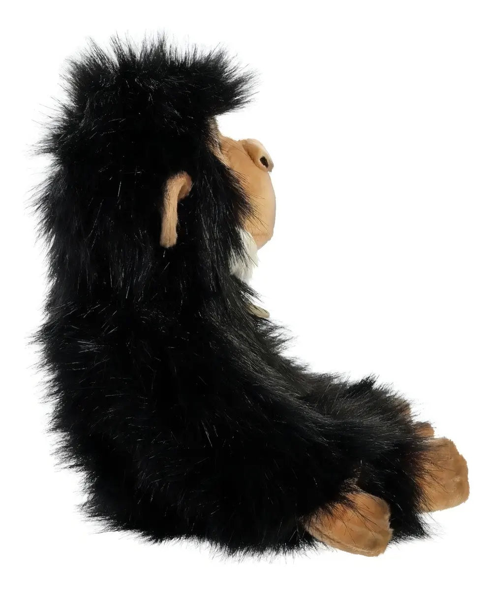 CHIMPANCE