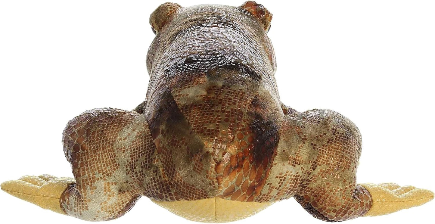 RANA AMERICANA