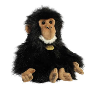 CHIMPANCE