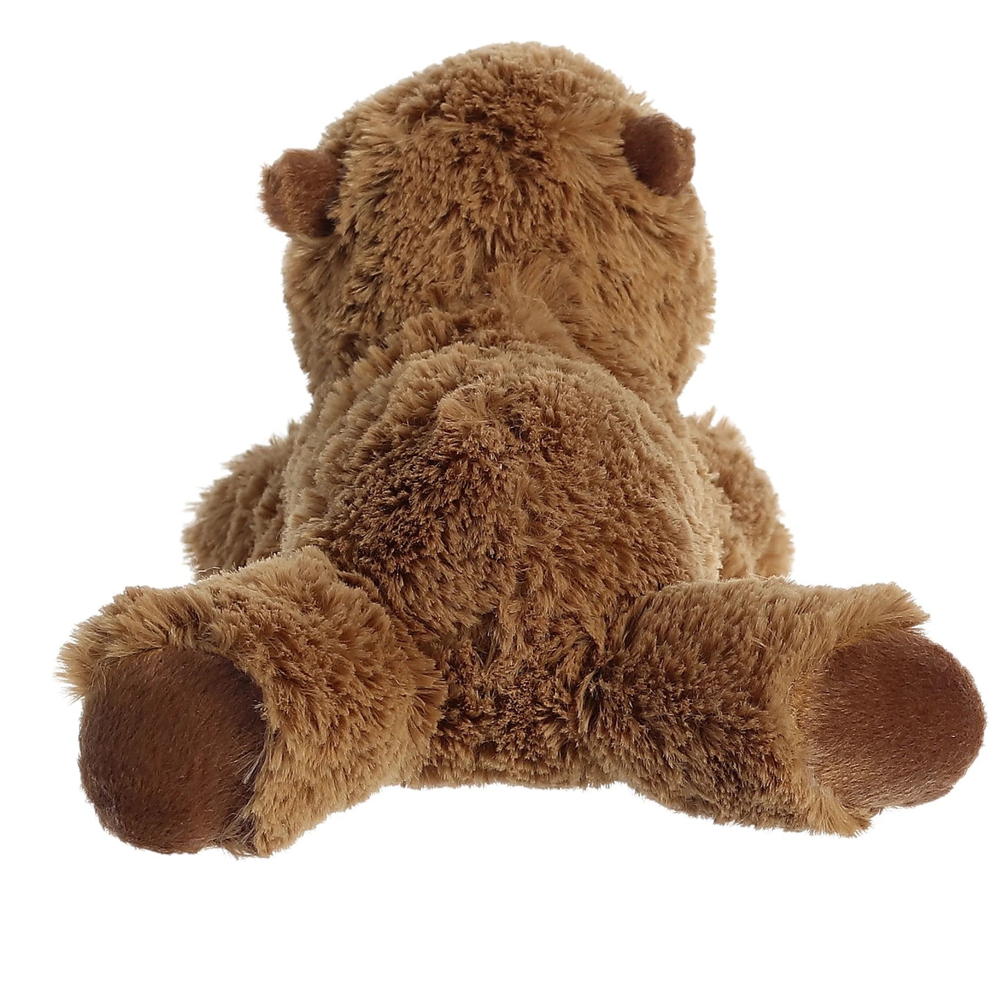 CAPIBARA