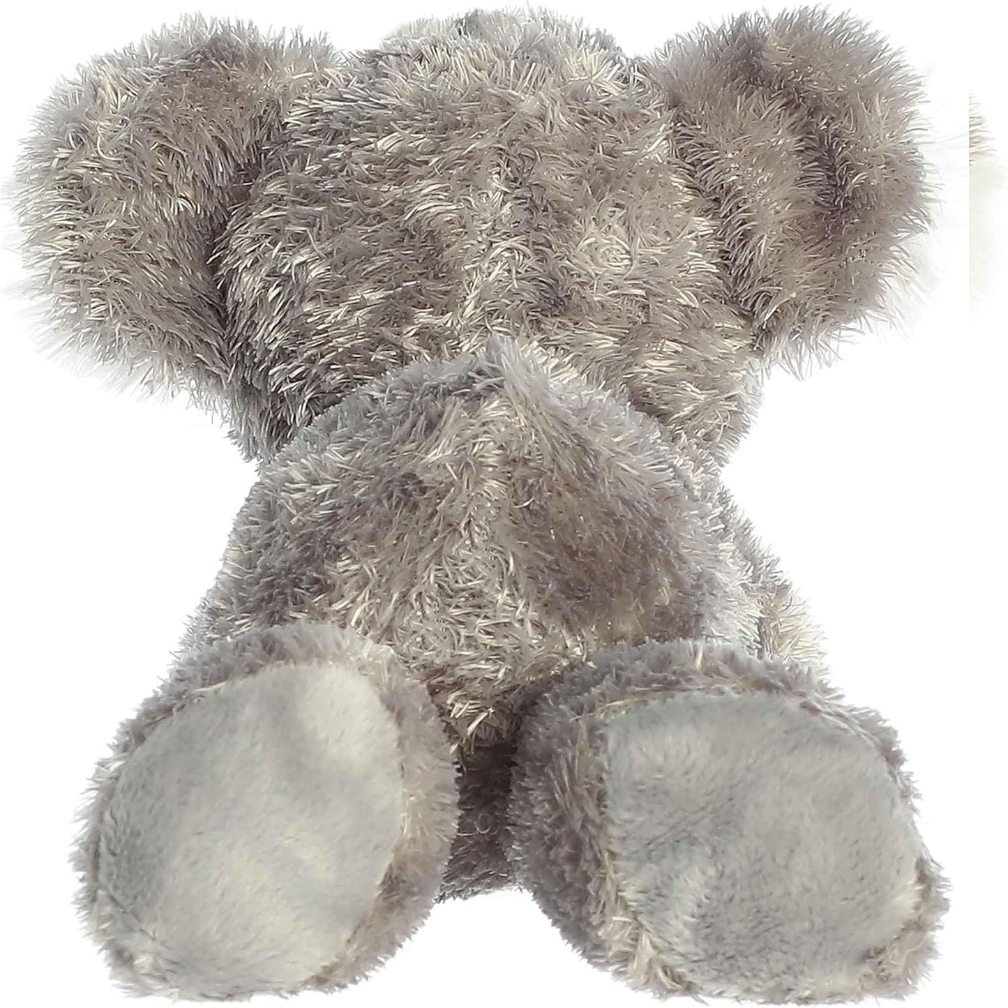 BABY KOALA