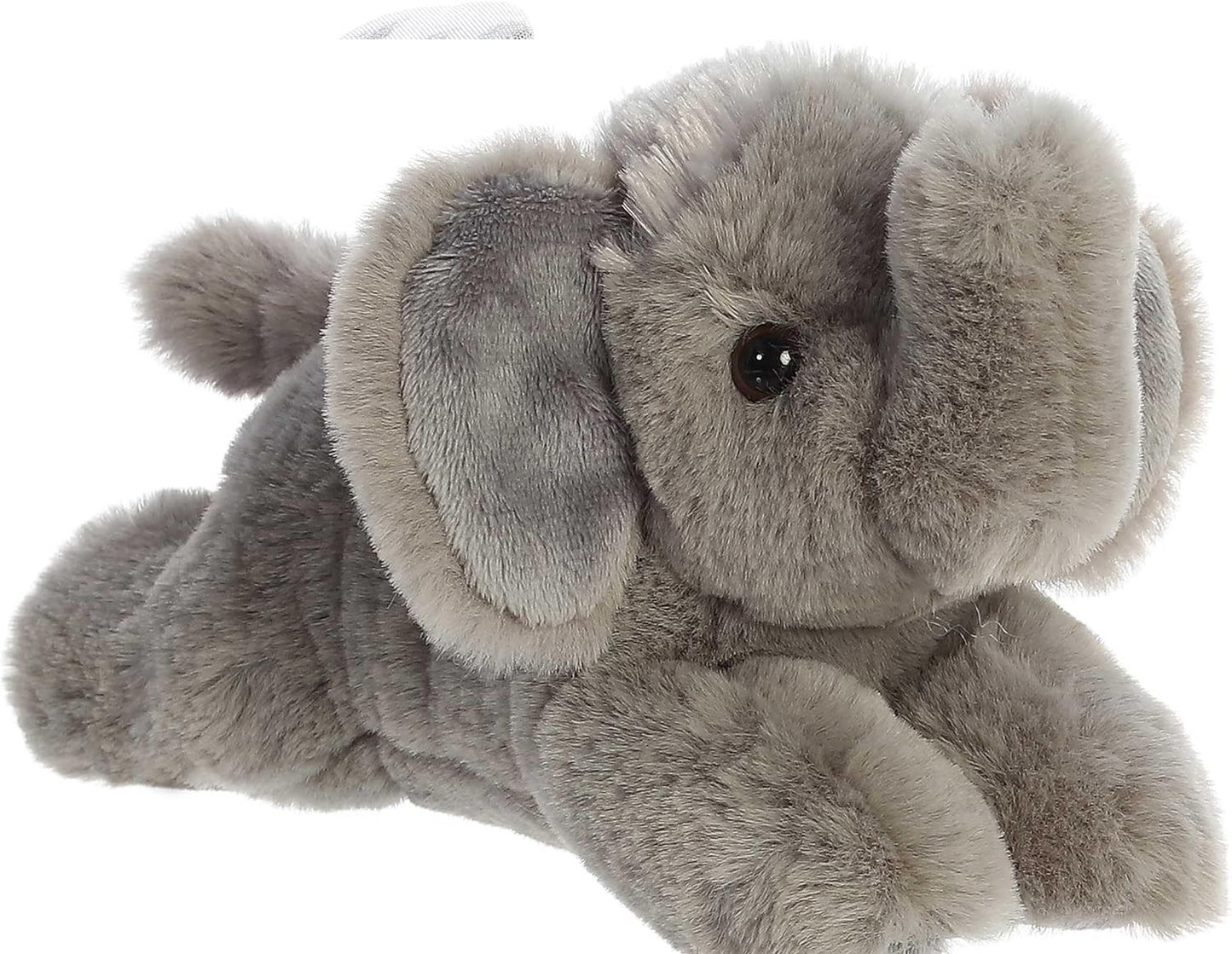 BABY ELEFANTE AFRICANO