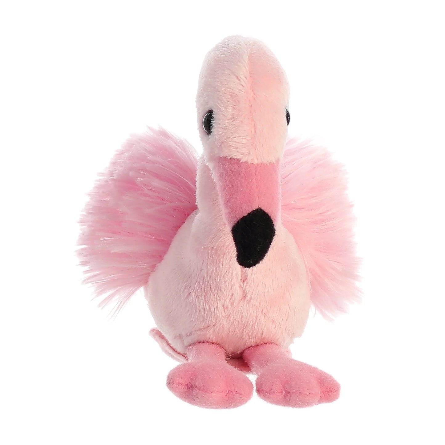 FLAMINGO IMAN HOMBRO