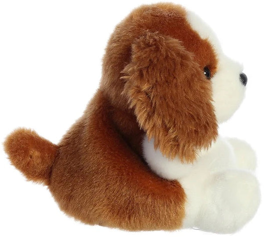 PERRO COCKER SPANIEL