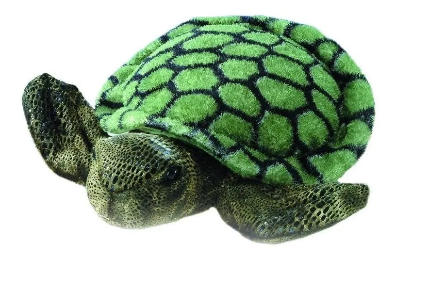 TORTUGA