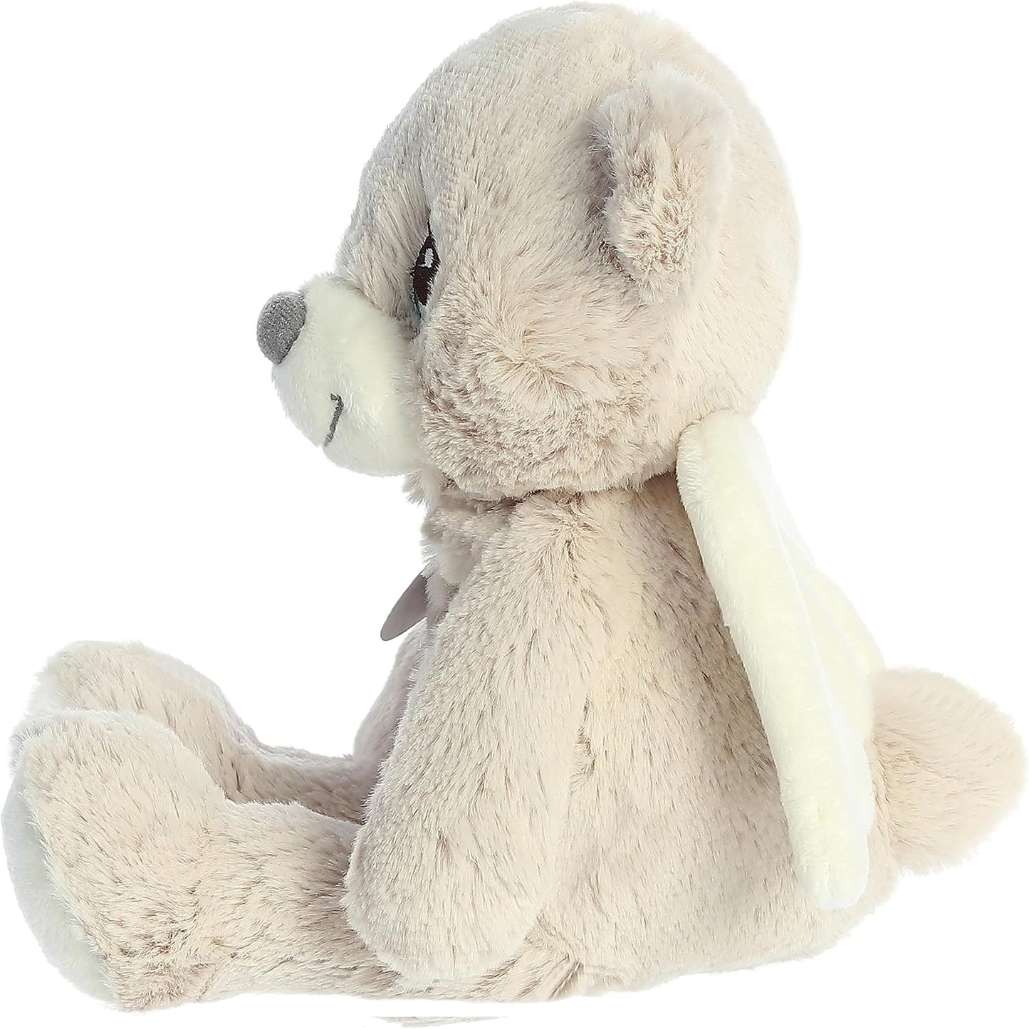 OSO ANGEL DE LA GUARDA