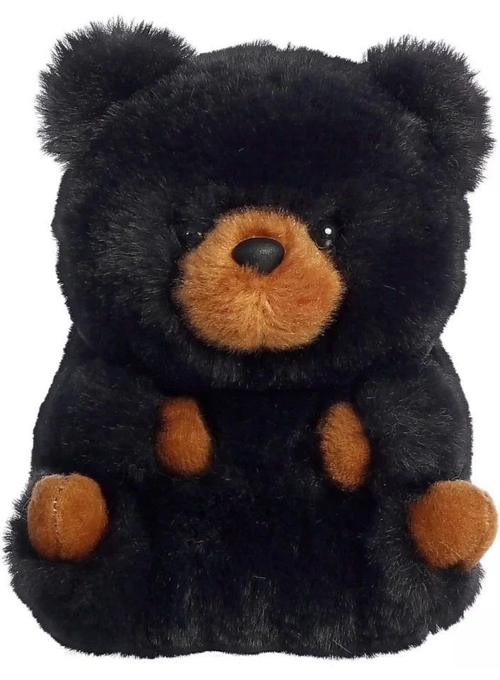 BABY OSO NEGRO GORDITO