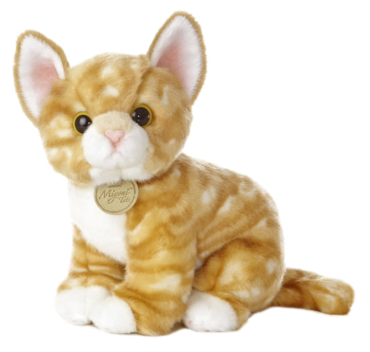 GATO NARANJA