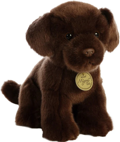 LABRADOR CHOCOLATE