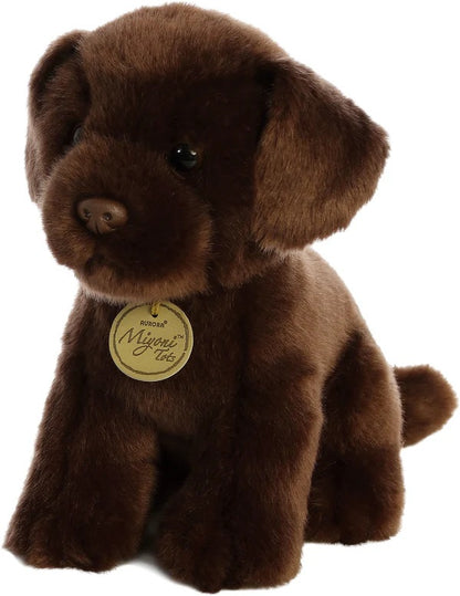 LABRADOR CHOCOLATE