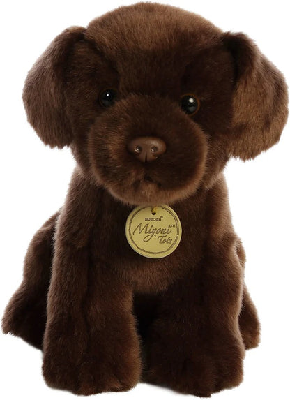 LABRADOR CHOCOLATE