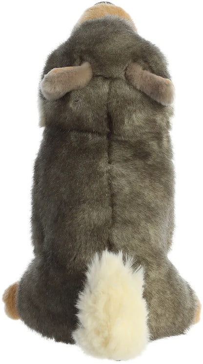 LOBO