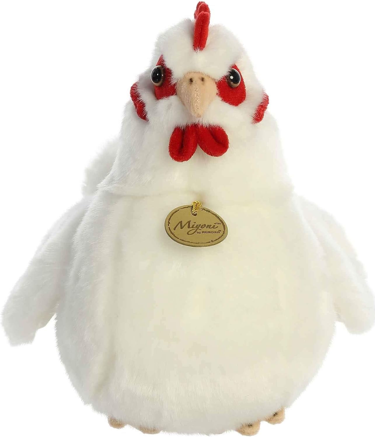 GALLINA