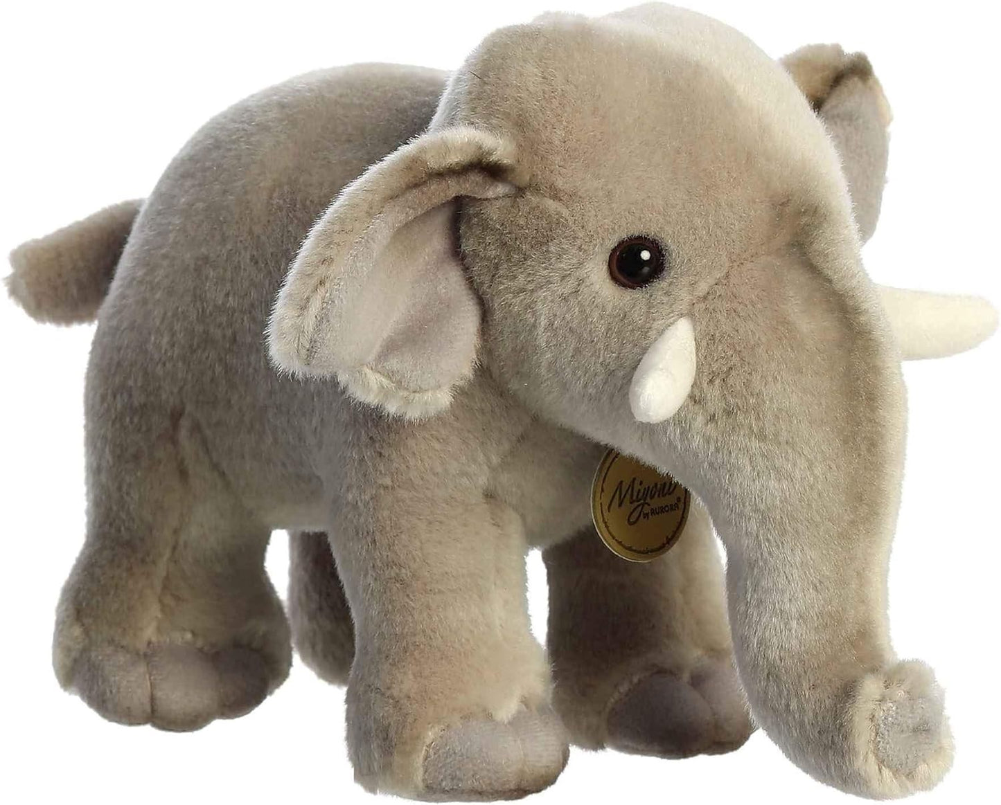ELEFANTE ASIATICO