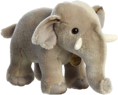 ELEFANTE ASIATICO