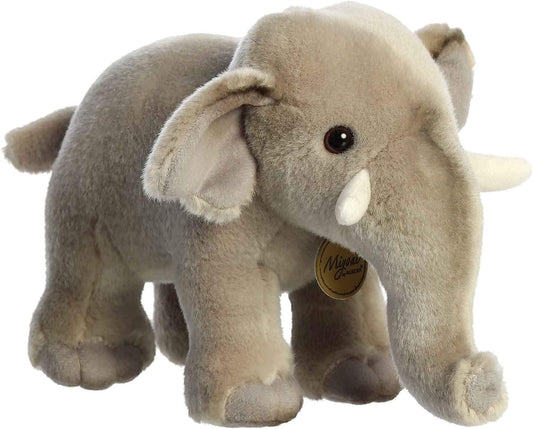 ELEFANTE ASIATICO