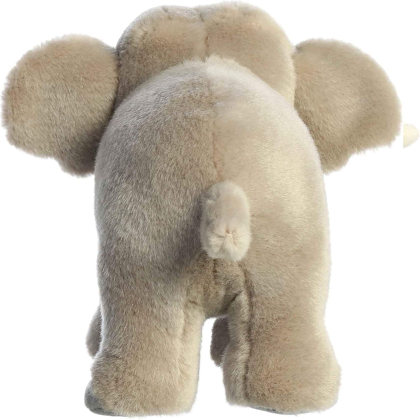 ELEFANTE ASIATICO