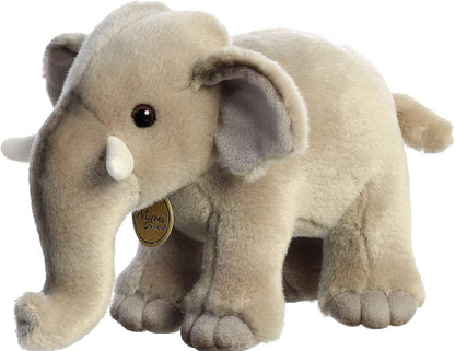 ELEFANTE ASIATICO