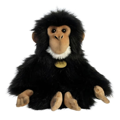 CHIMPANCE