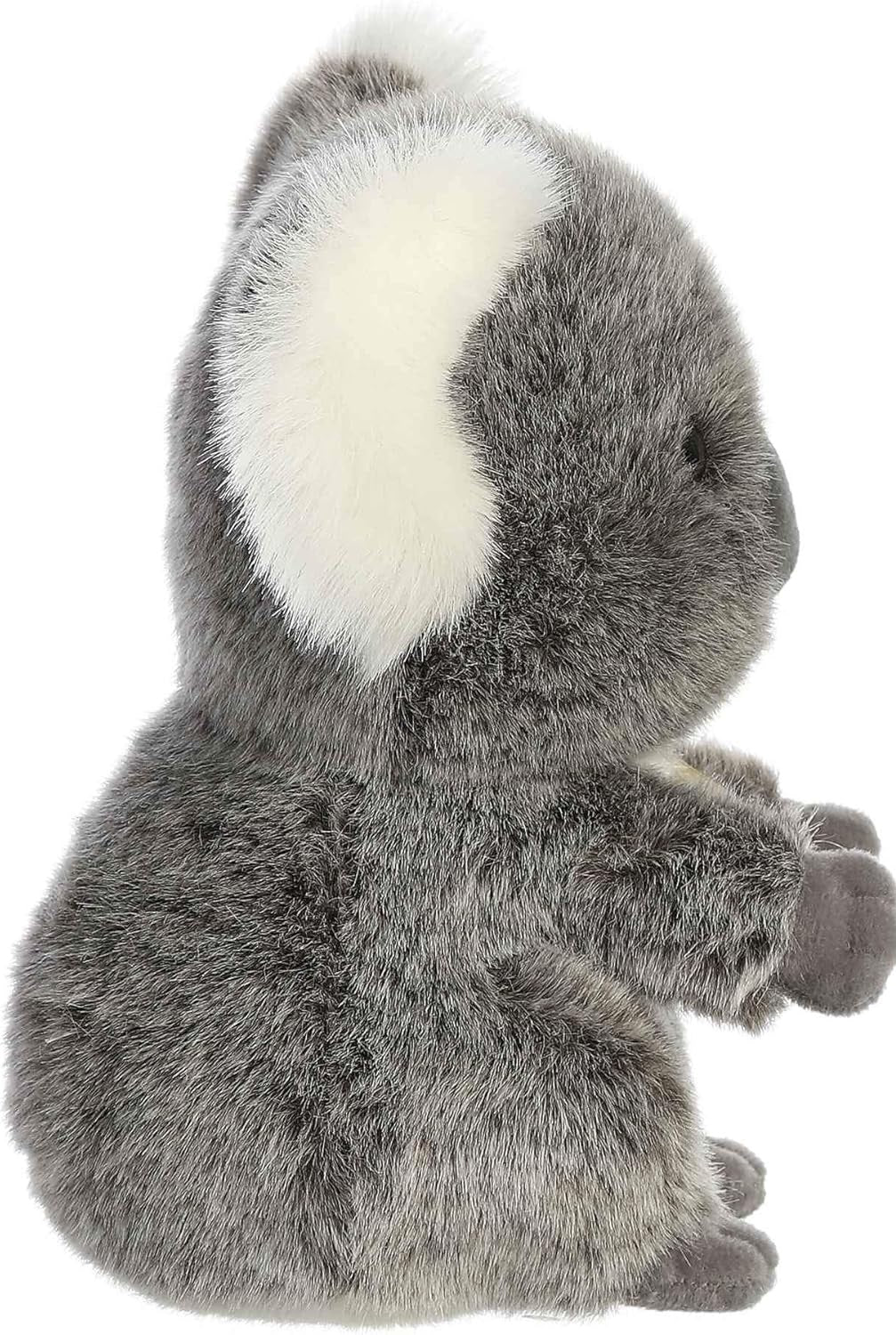 KOALA JOEY