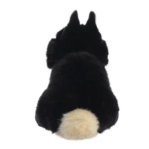 CONEJO NEGRO