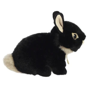 CONEJO NEGRO