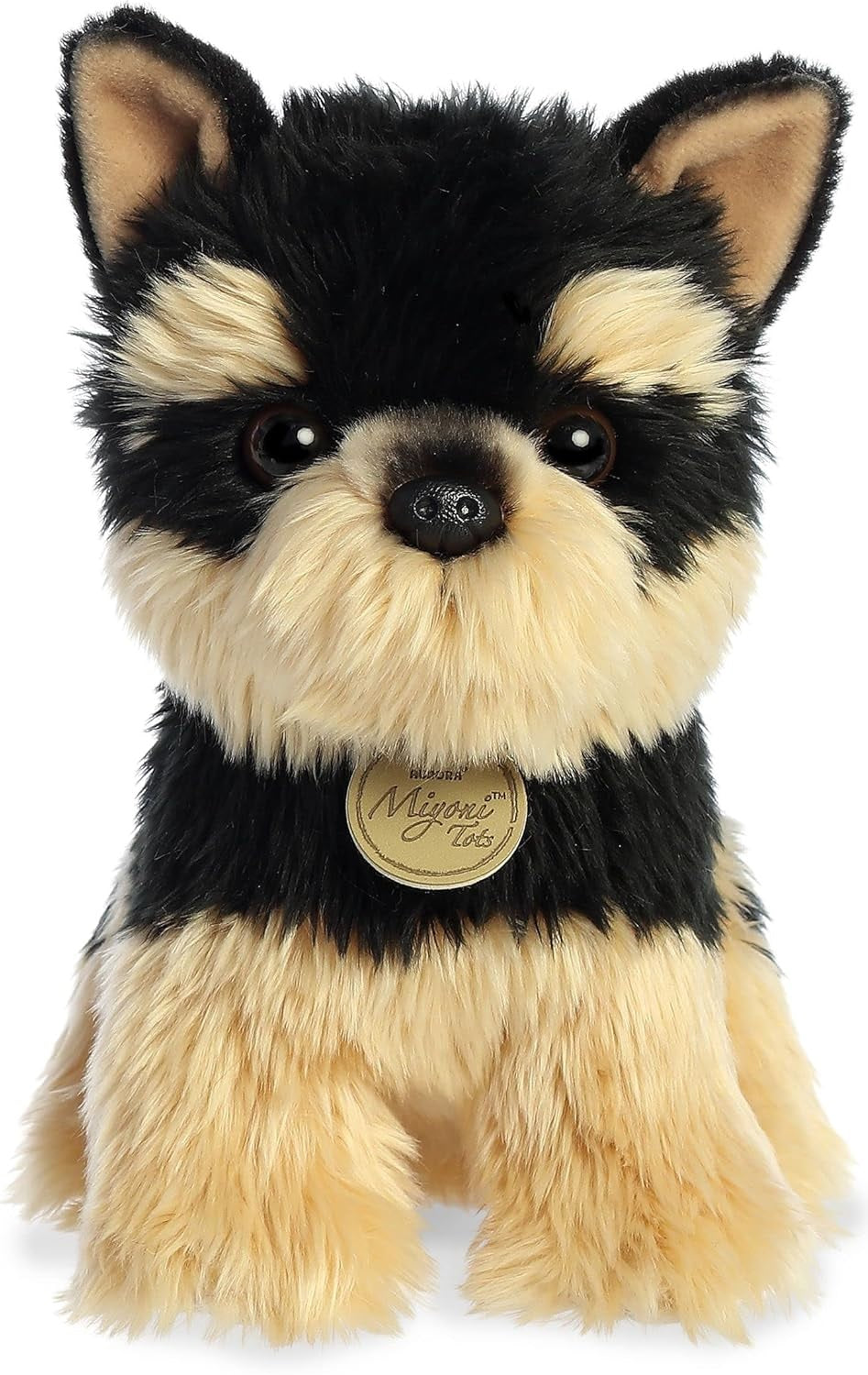 PERRO YORKI CACHORRO