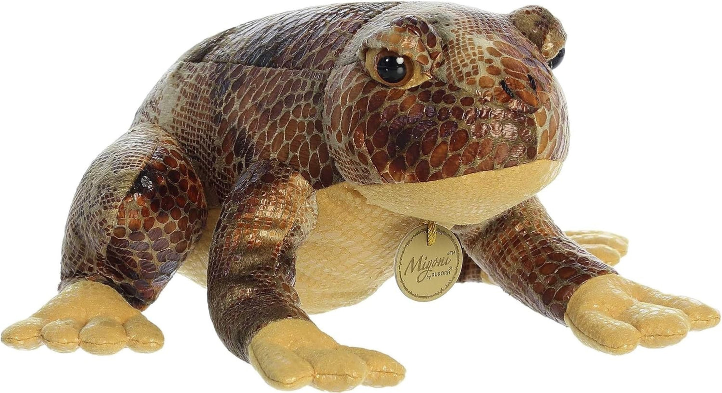 RANA AMERICANA