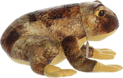 RANA AMERICANA