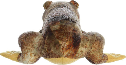 RANA AMERICANA