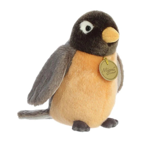 PAJARO ROBIN