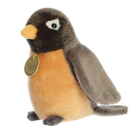 PAJARO ROBIN