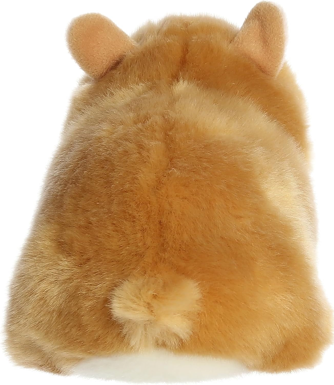 HAMSTER