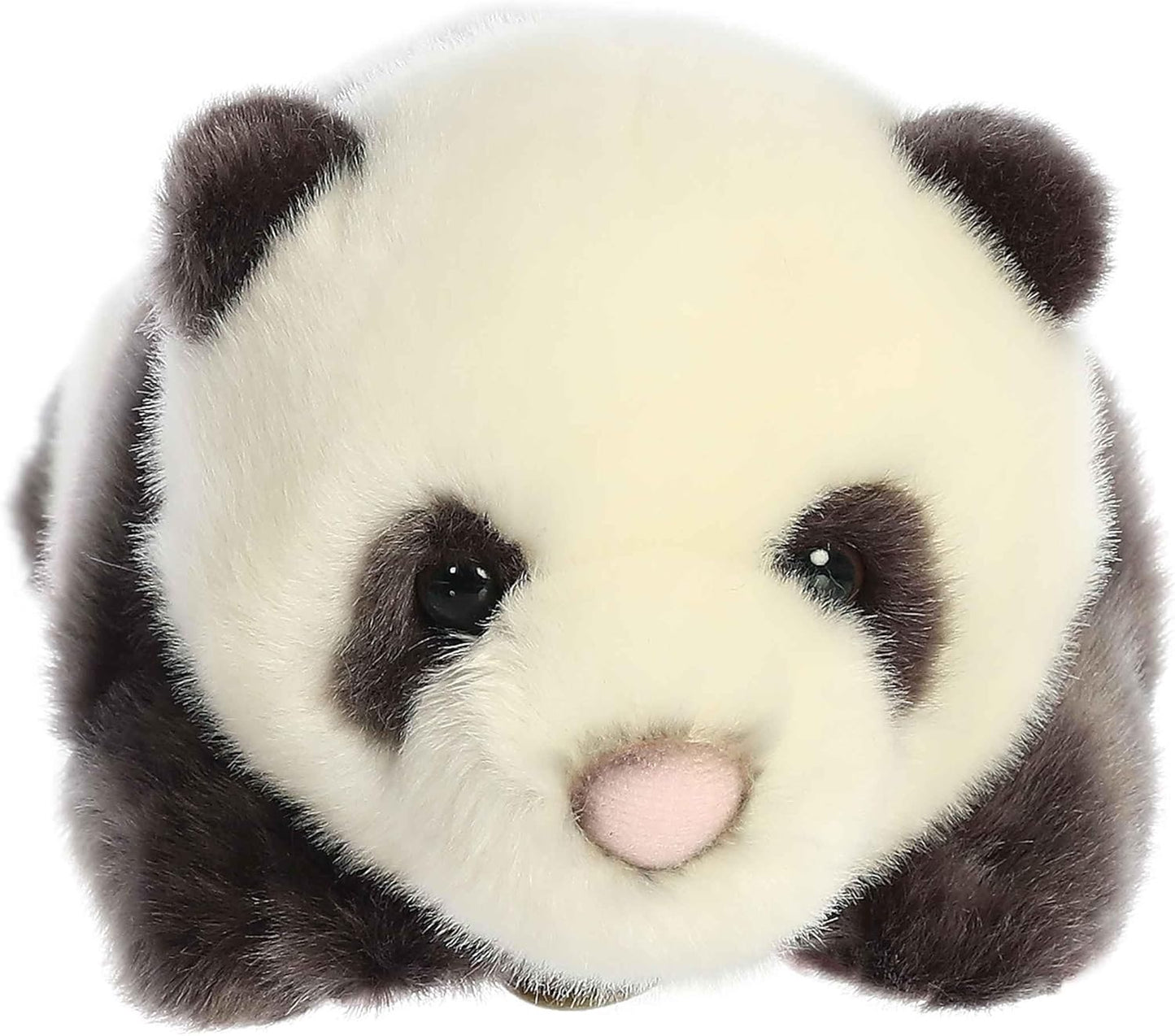 PANDA RECIEN NACIDO