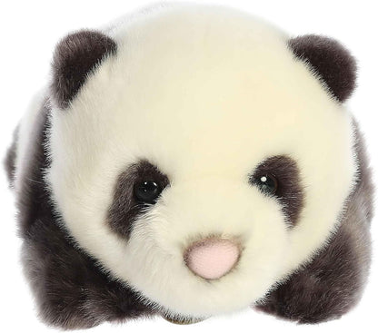 PANDA RECIEN NACIDO