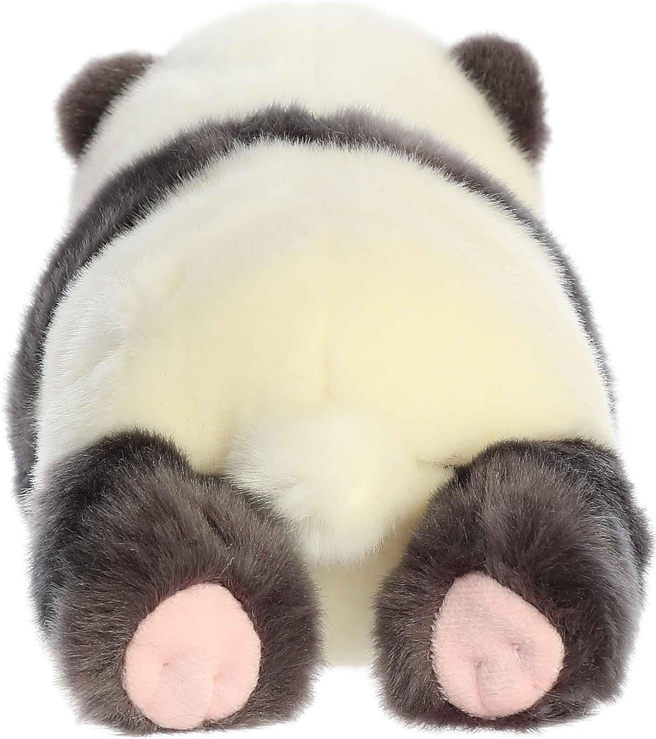 PANDA RECIEN NACIDO