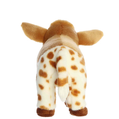 TORO VACA