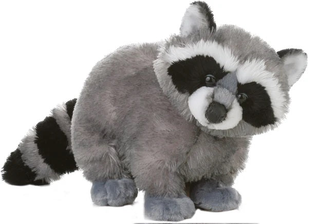 MAPACHE AURORA