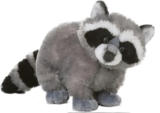 MAPACHE AURORA