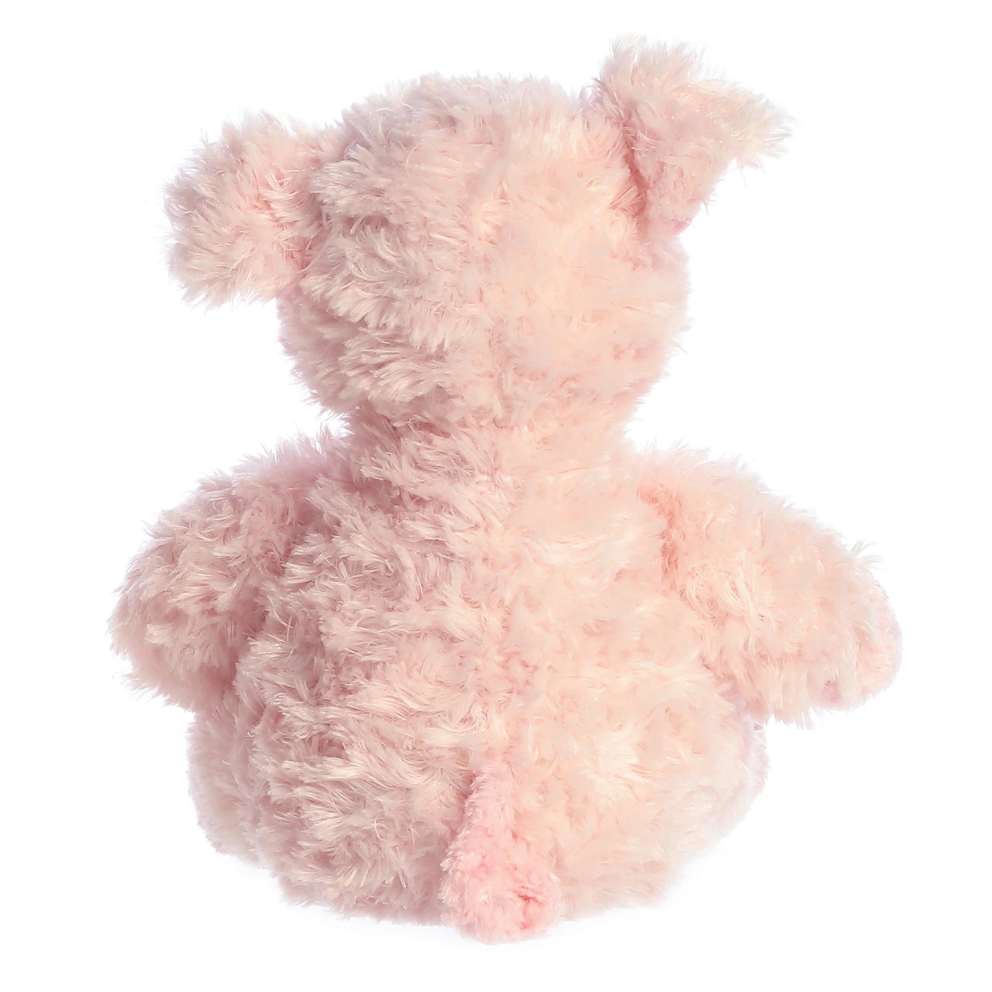 CERDITO AURORA