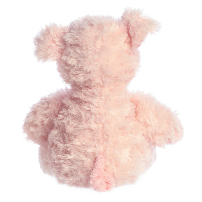 CERDITO AURORA