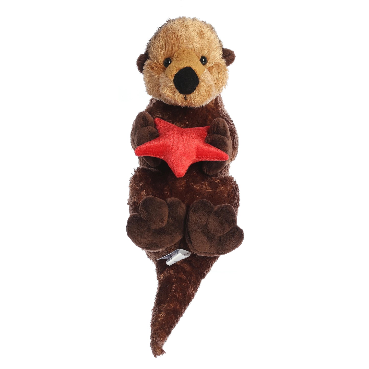 NUTRIA CON ESTRELLA