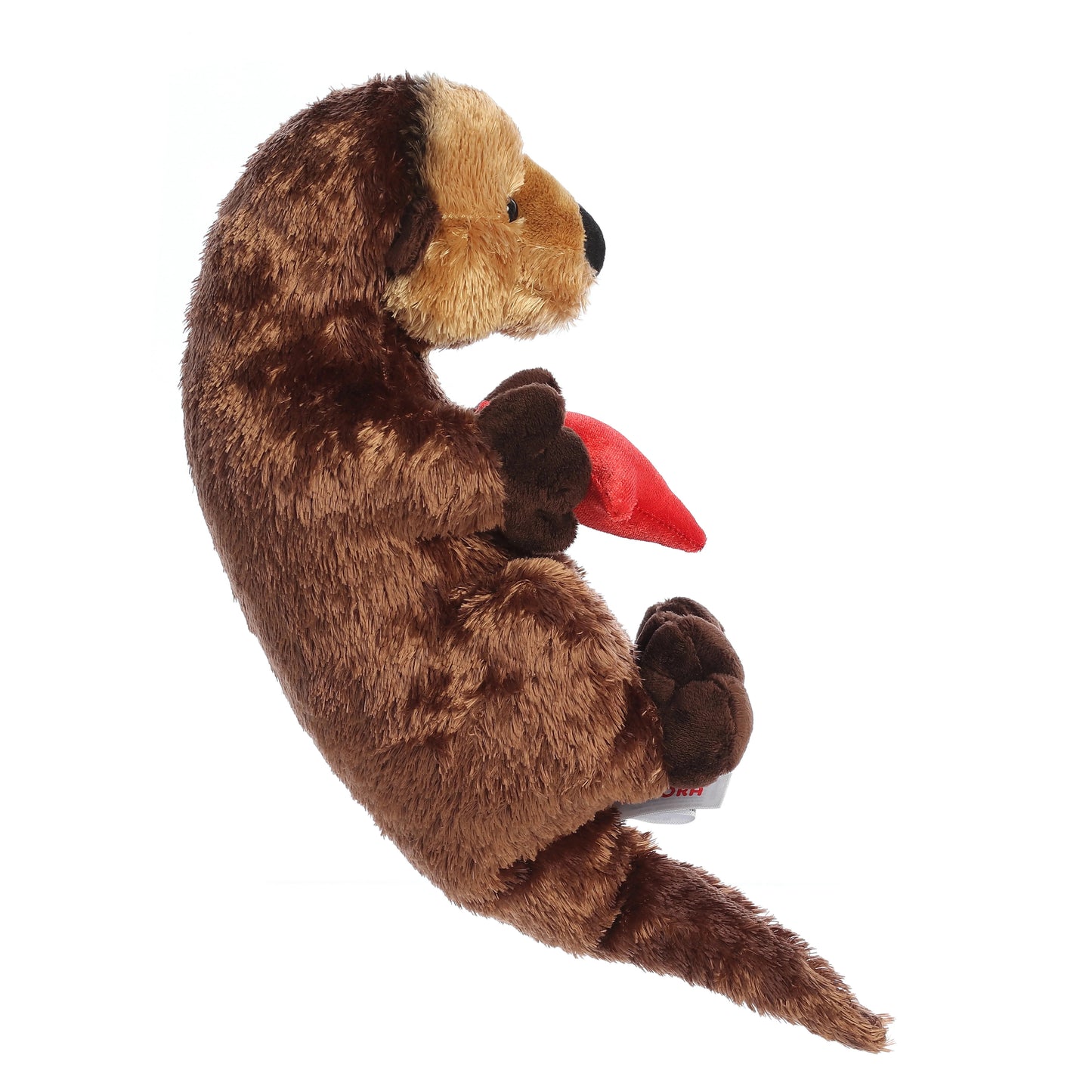 NUTRIA CON ESTRELLA