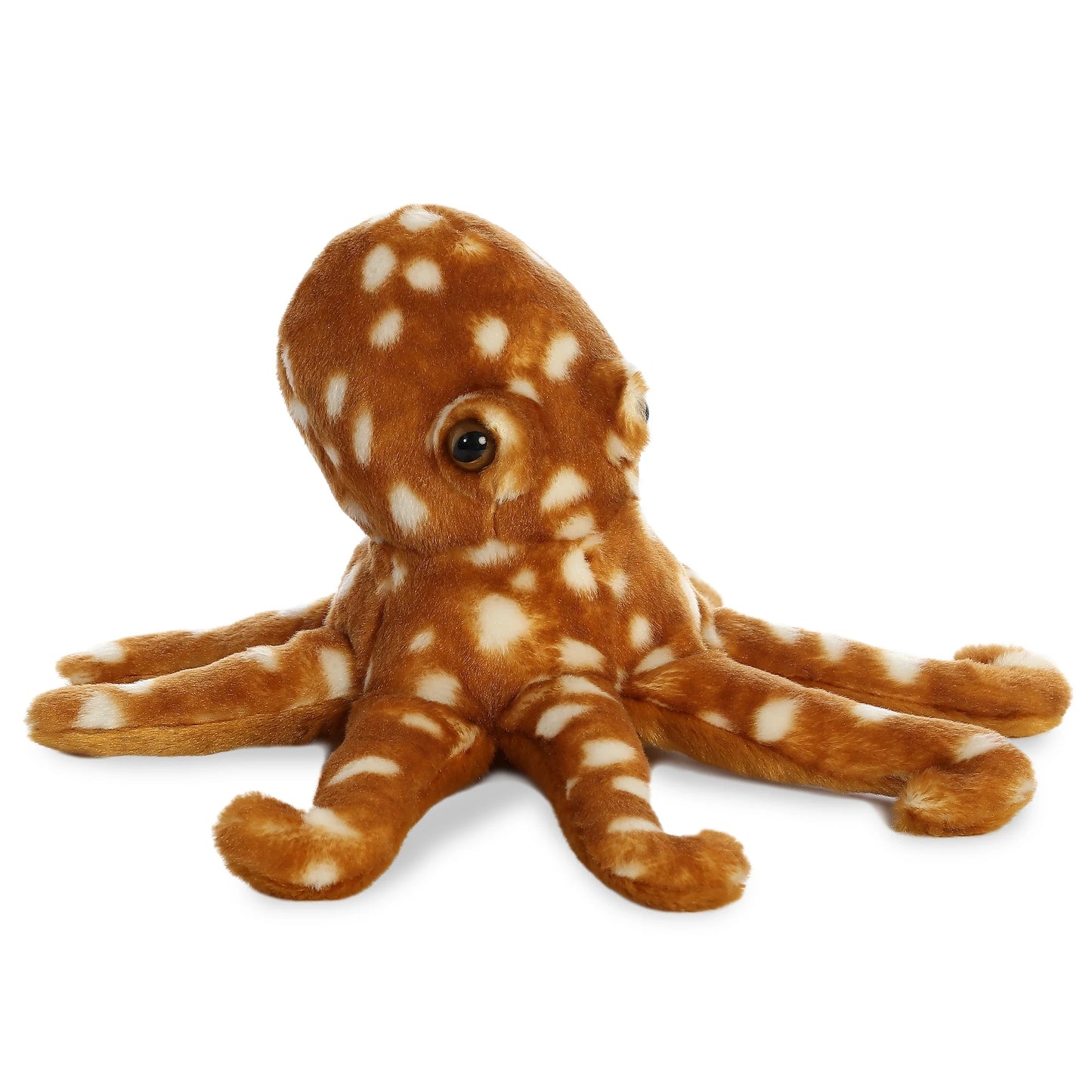 PULPO
