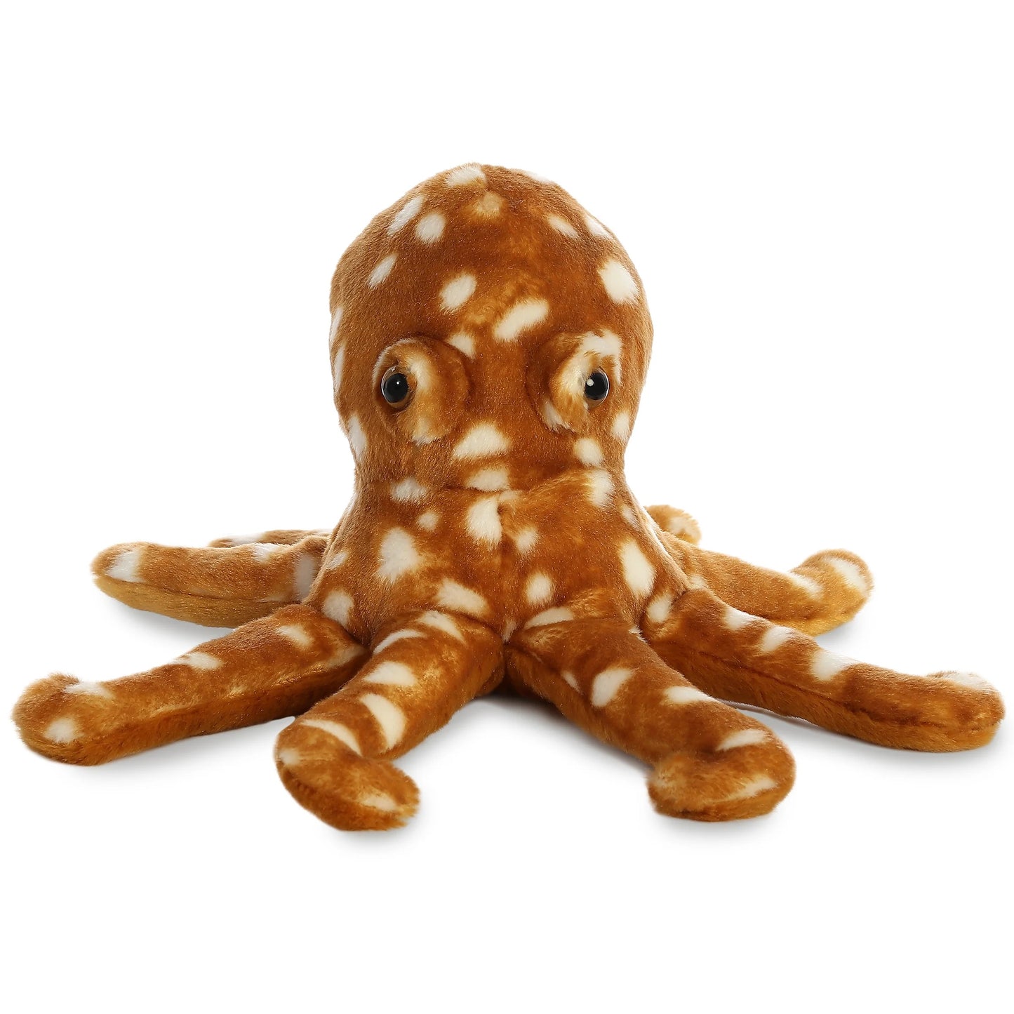 PULPO