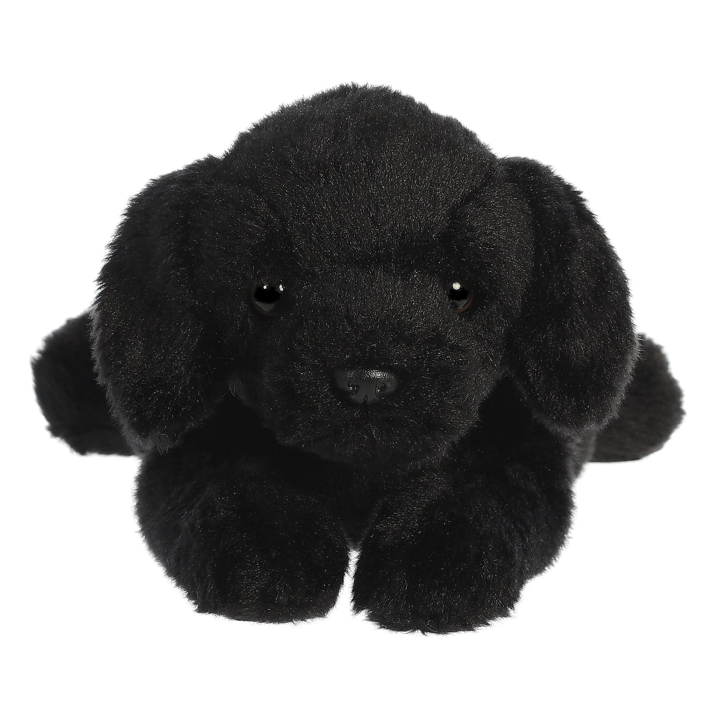 PERRO LABRADOR NEGRO