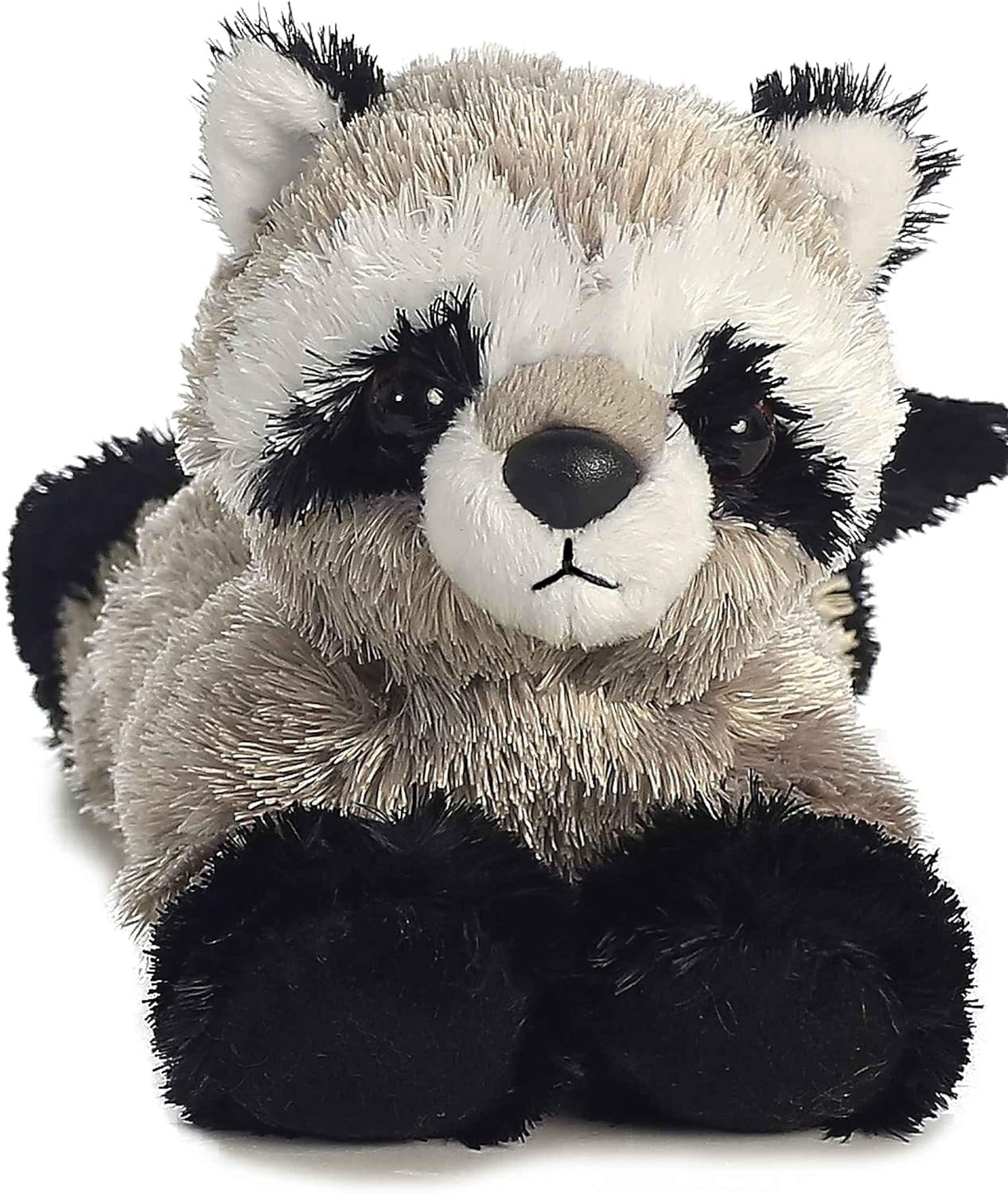BABY MAPACHE